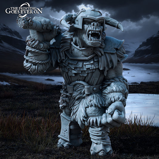 Product photo Tabletop 28mm The Printing Goes Ever On (TPGEO) 0: Mighty Troll B - Large Beast - Evil Creatures of the Northern Realms
