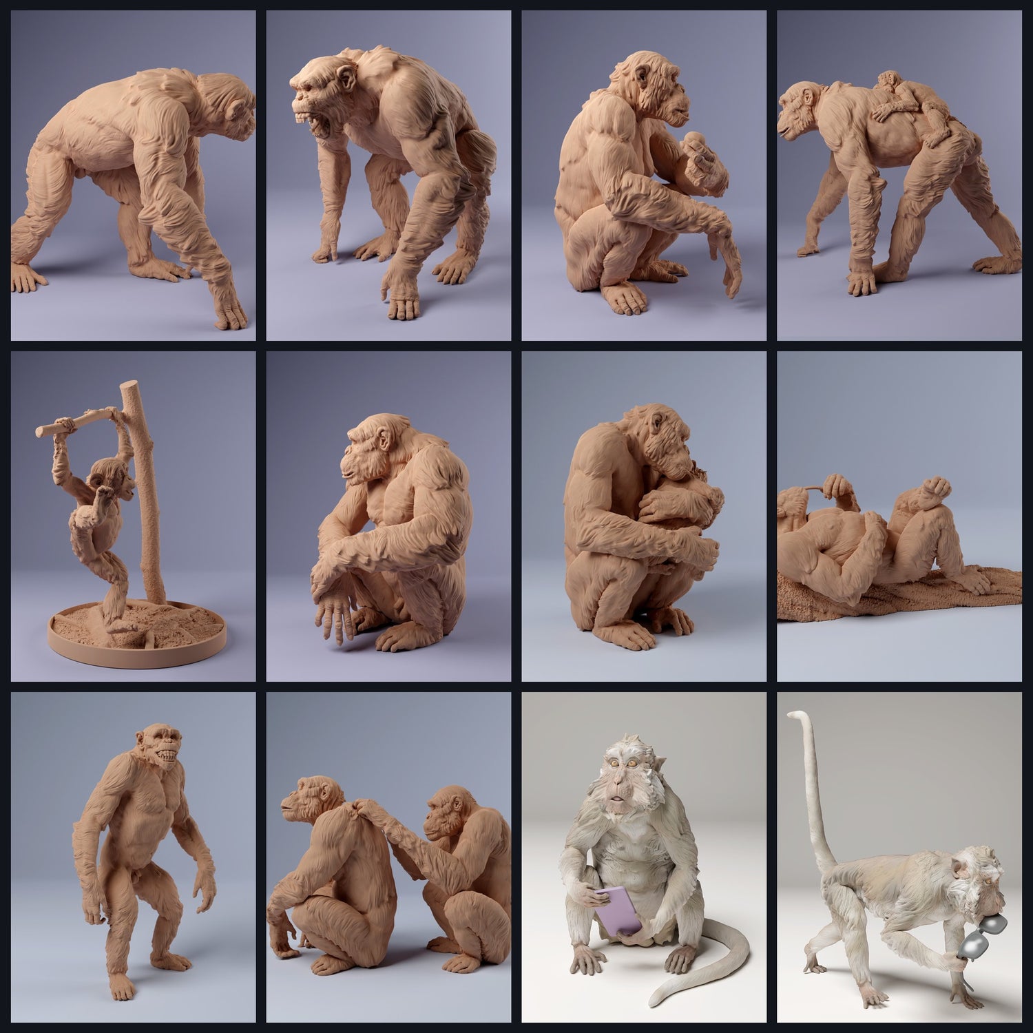 This image is the category image for animal type: Primates & Prosimians