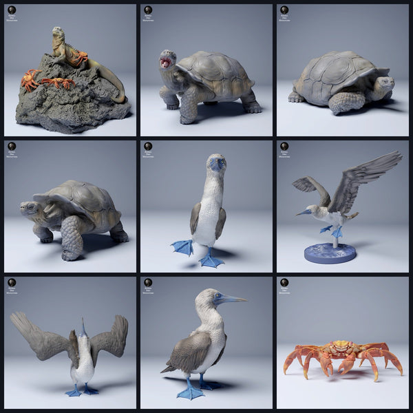 This image is the category image for the release 24_08: Galápagos-animal miniatures and animal figures for diorama and model building.