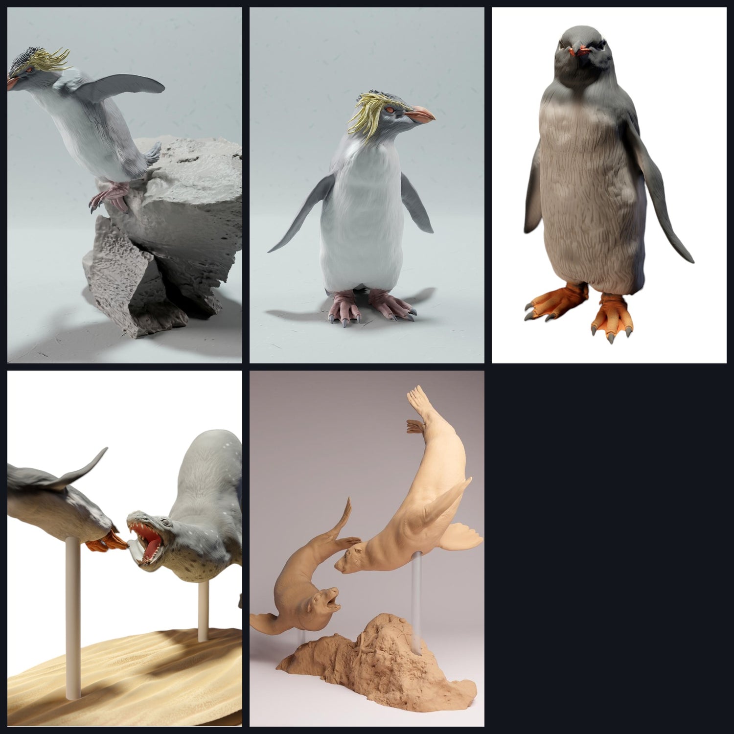 This image is the category image for Region: Antarctica/Subantarctica