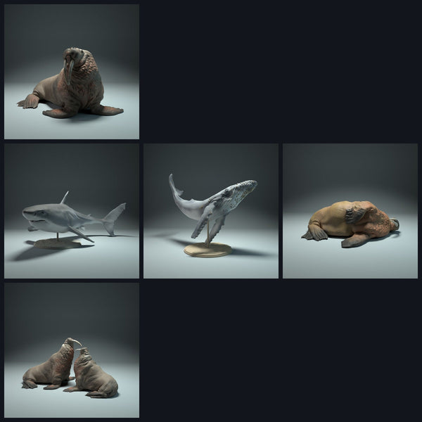 This image is the category image for the release 22_09: Meeres-animal miniatures for diorama and model building.
