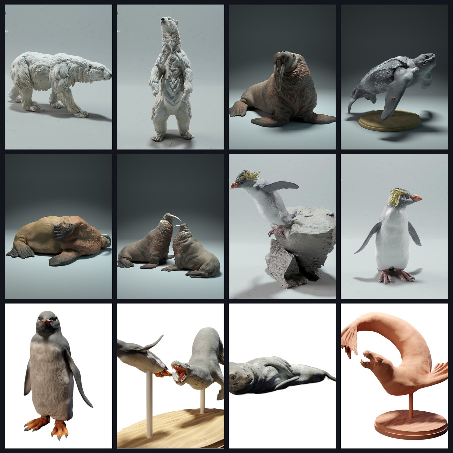 This image is the category image for Habitat: Coast & Shallow Sea (Reefs/Estuaries)