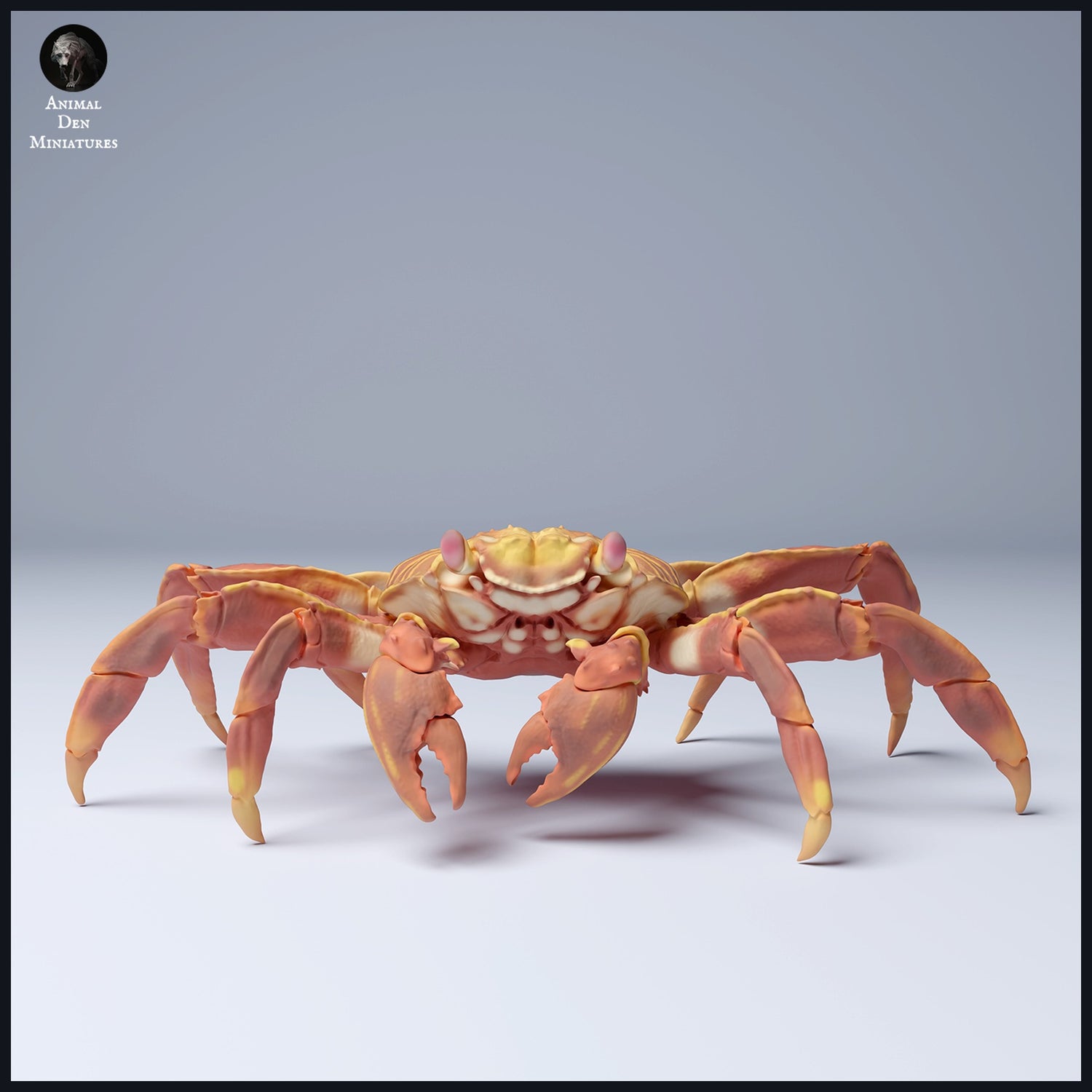 This image is the category image for Animal Type: Crustaceans