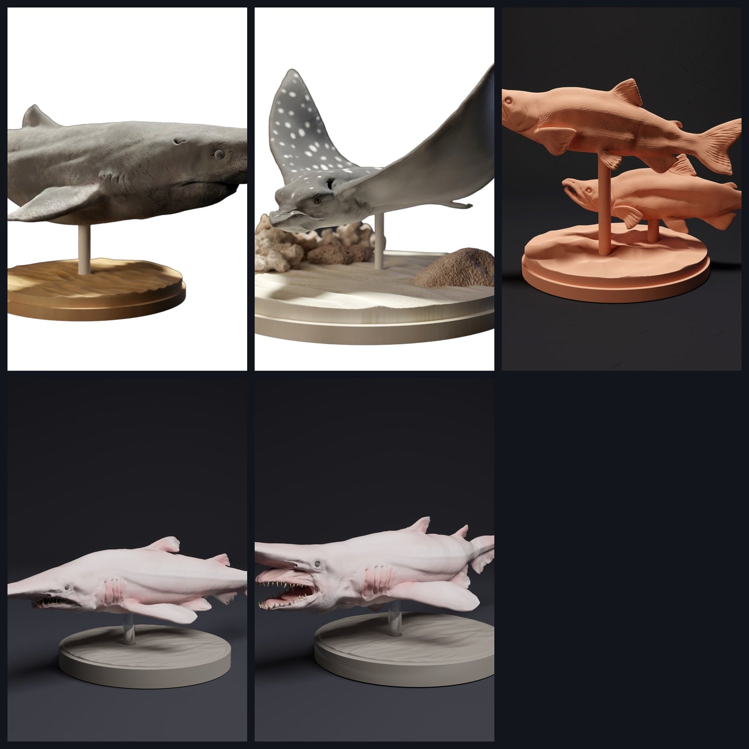 This image is the category image for Animal Type: Fish & Cartilaginous Fish