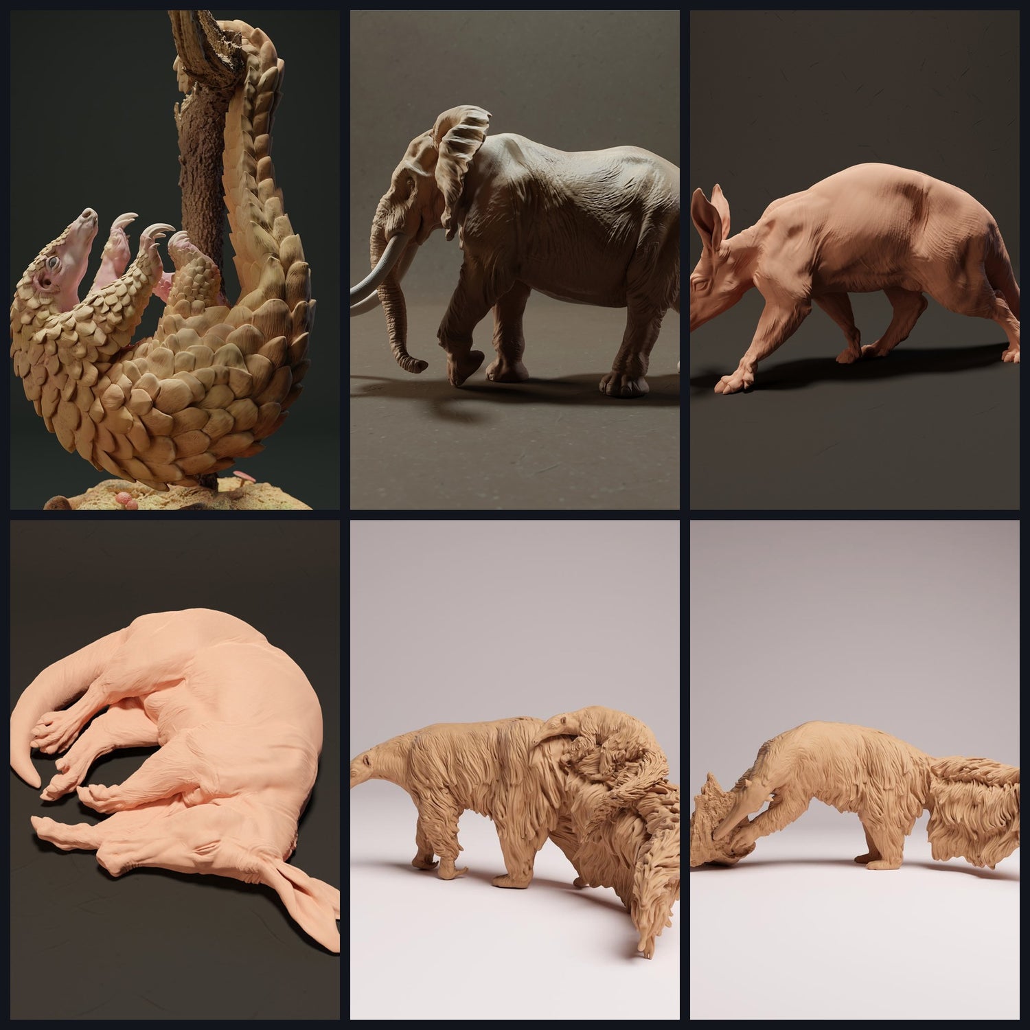 This image is the category image for animal type: Exotic Mammals