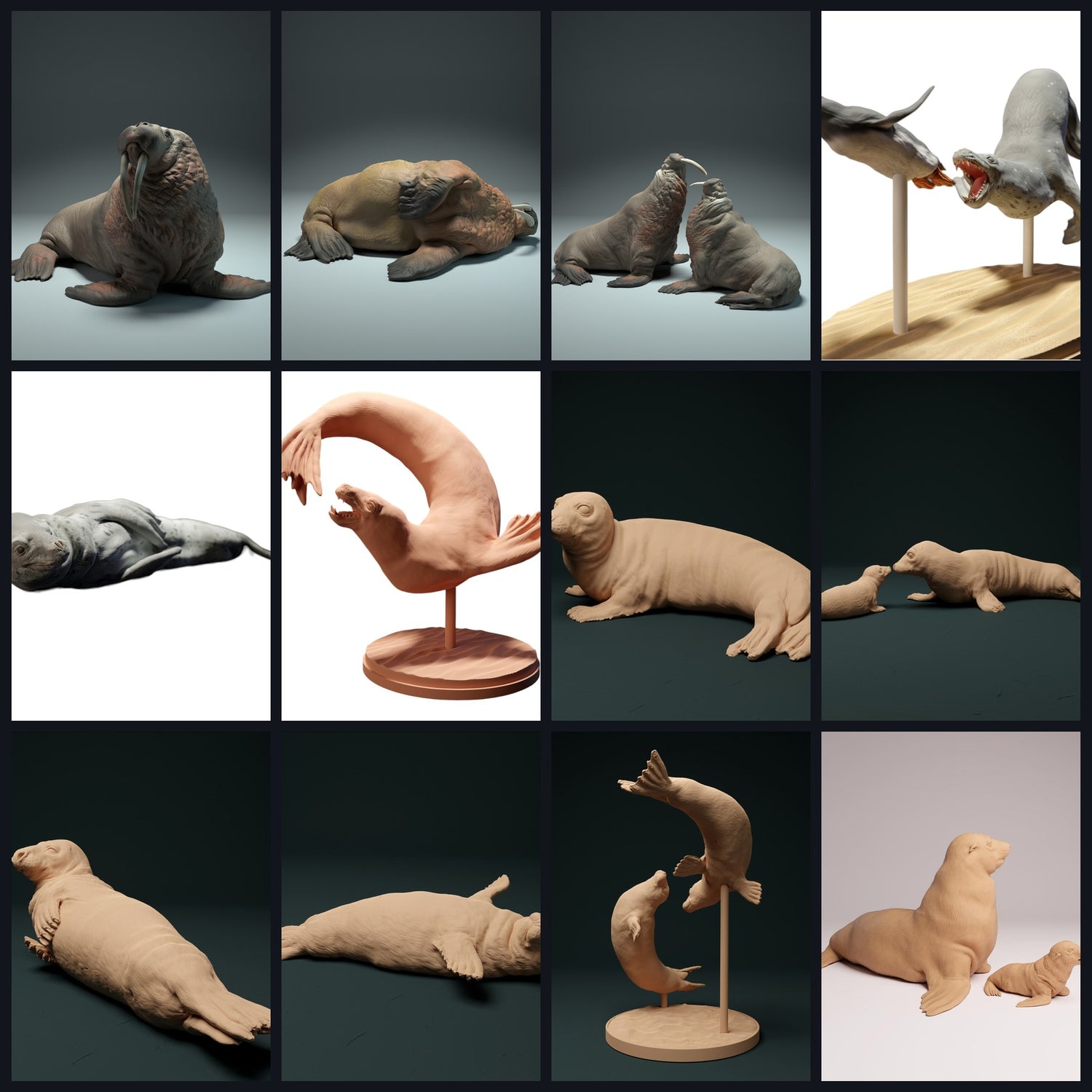 This image is the category image for animal type: Pinnipeds