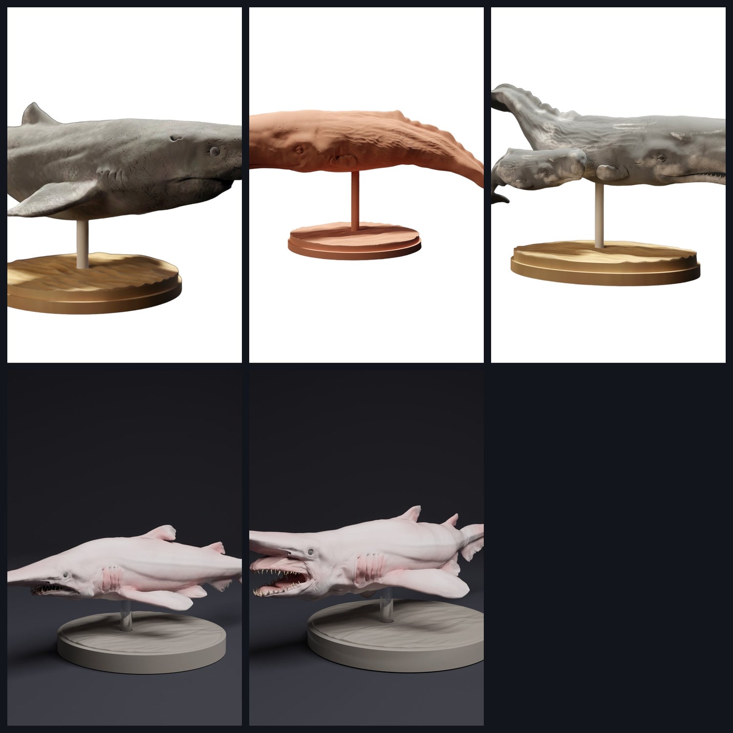 This image is the category image for habitat: Deep Sea