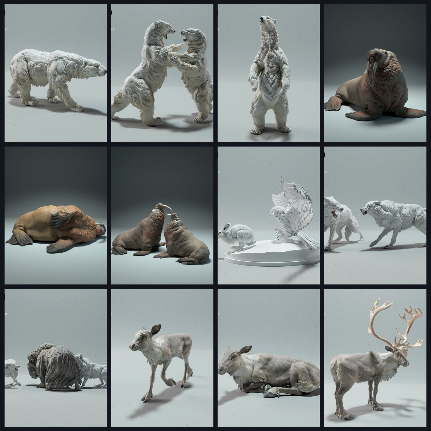 This image is the category image for Habitat: Tundra/Polar