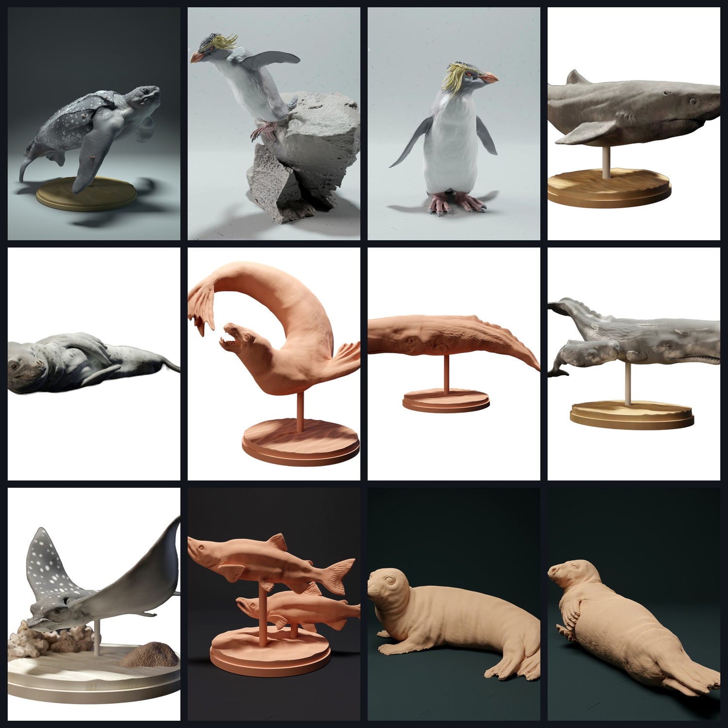 This image is the category image for Habitat: Open Ocean