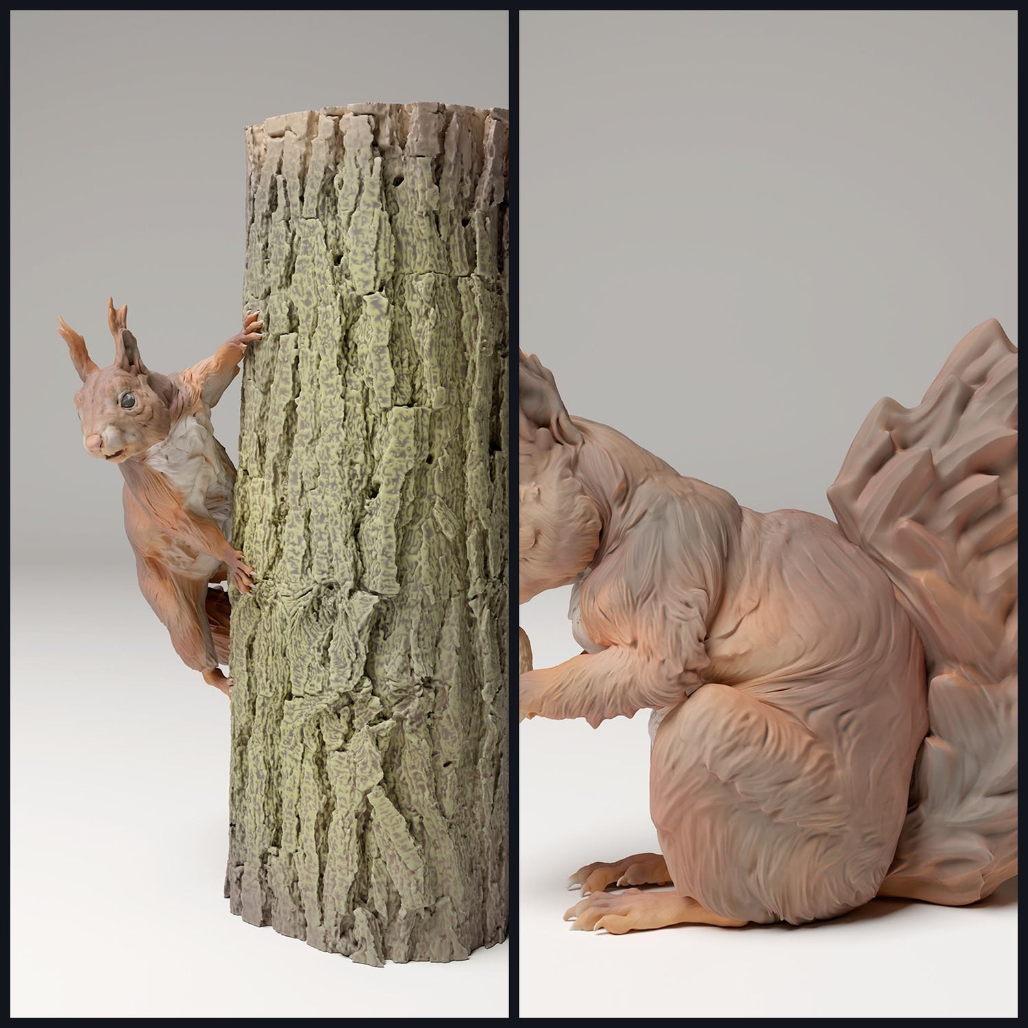 This image is the category image for Animal Type: Rodents & Lagomorphs