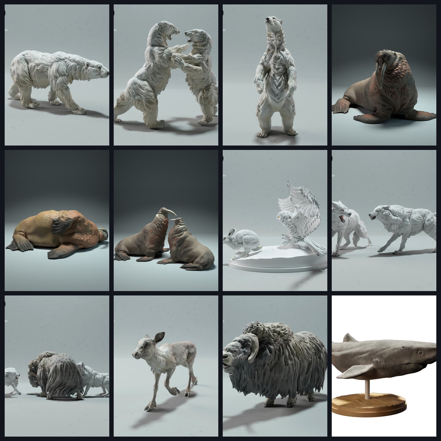 This image is the category image for region: Arctic