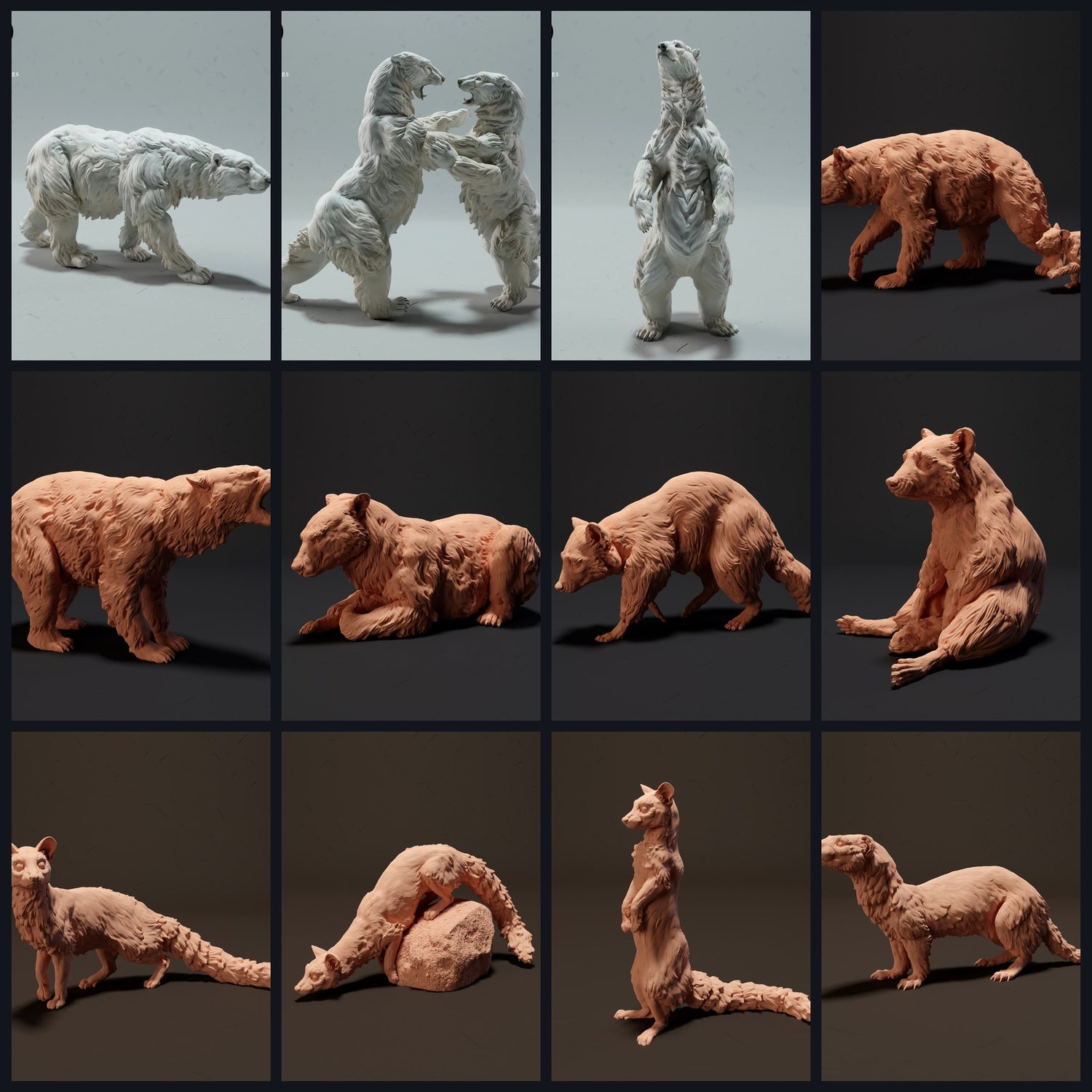 This image is the category image for animal type: Bears & Small Carnivores