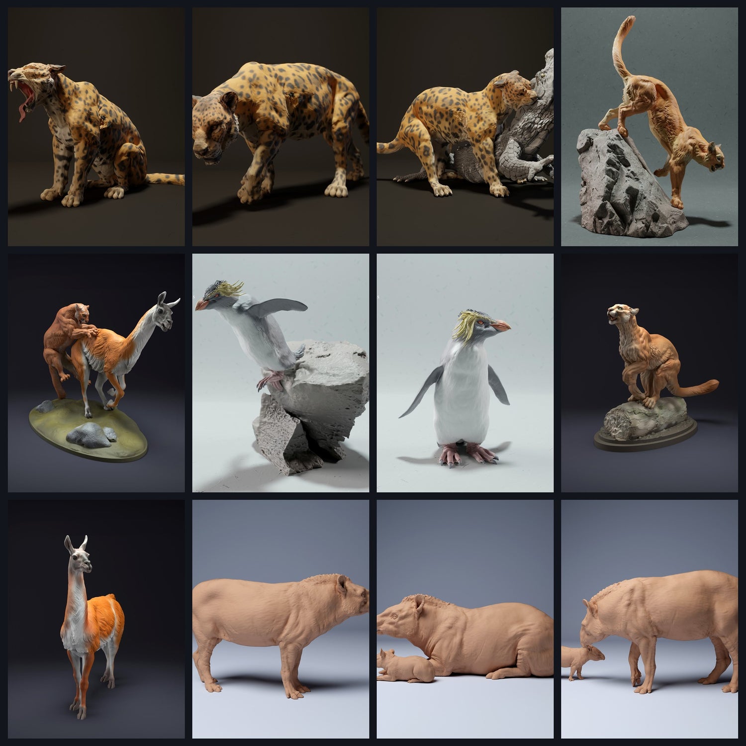 This image is the category image for region: South America