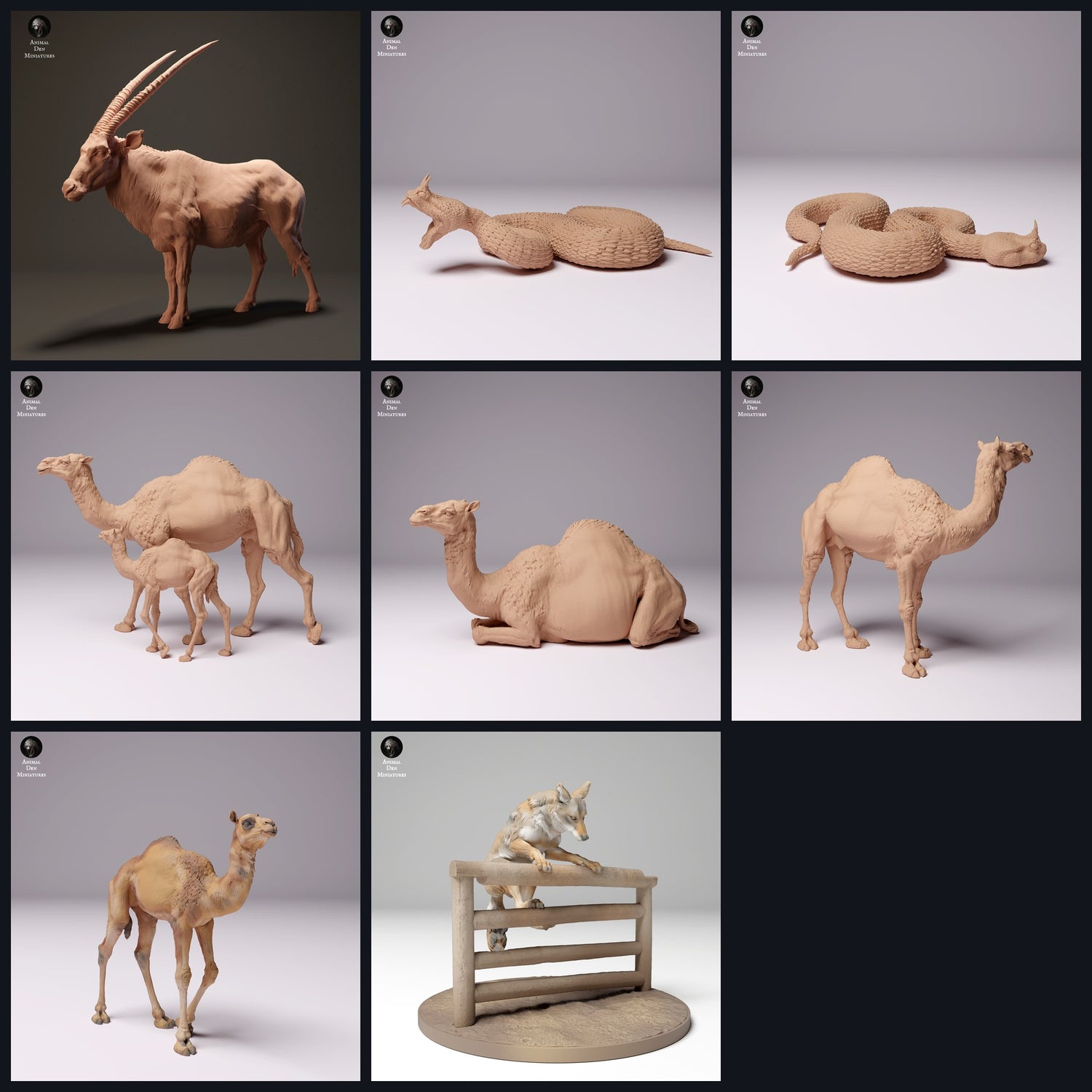 Dieses Bild ist das Kategoriebild für Lebensraum: Wüste/Halbwüste