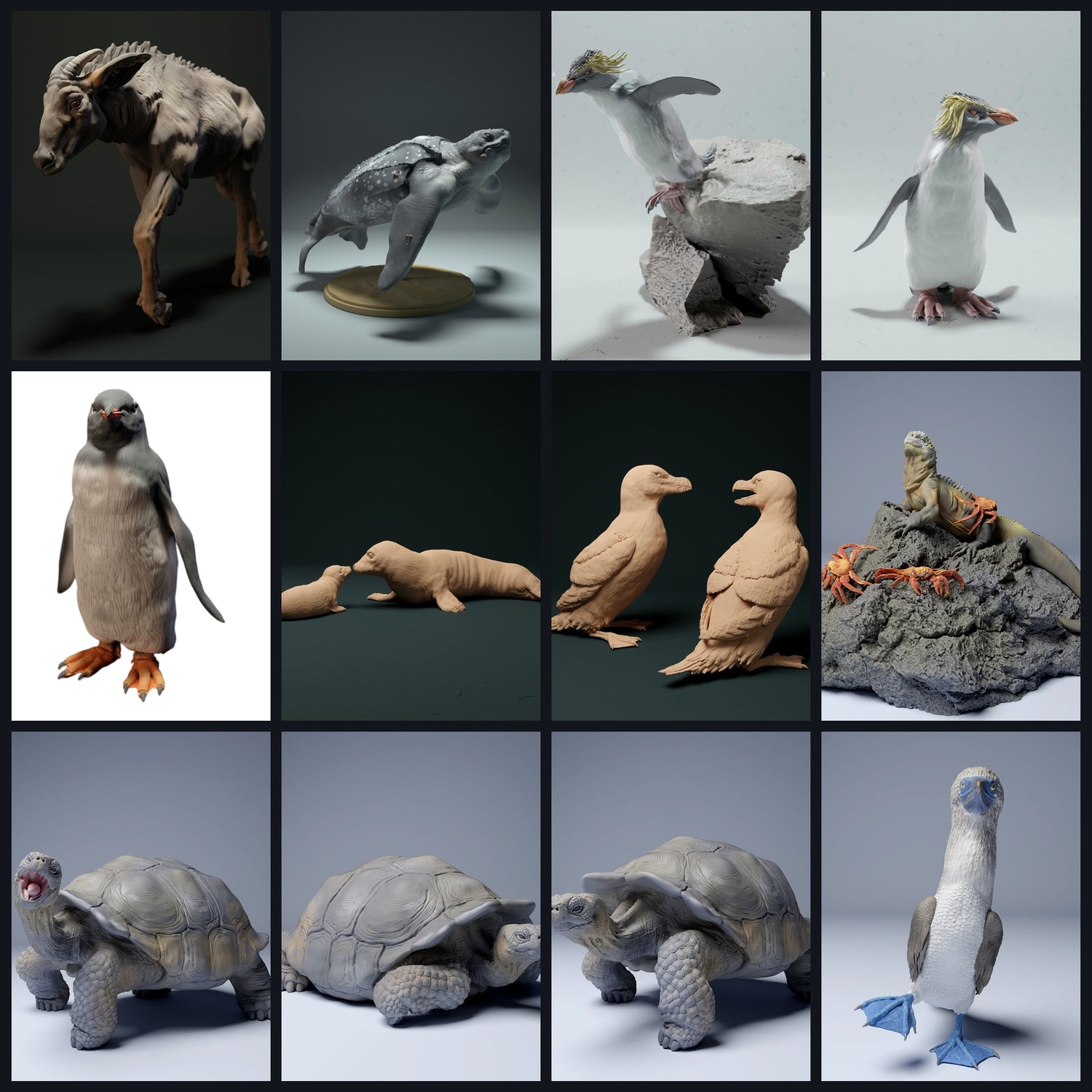 This image is the category image for habitat: island/archipelago