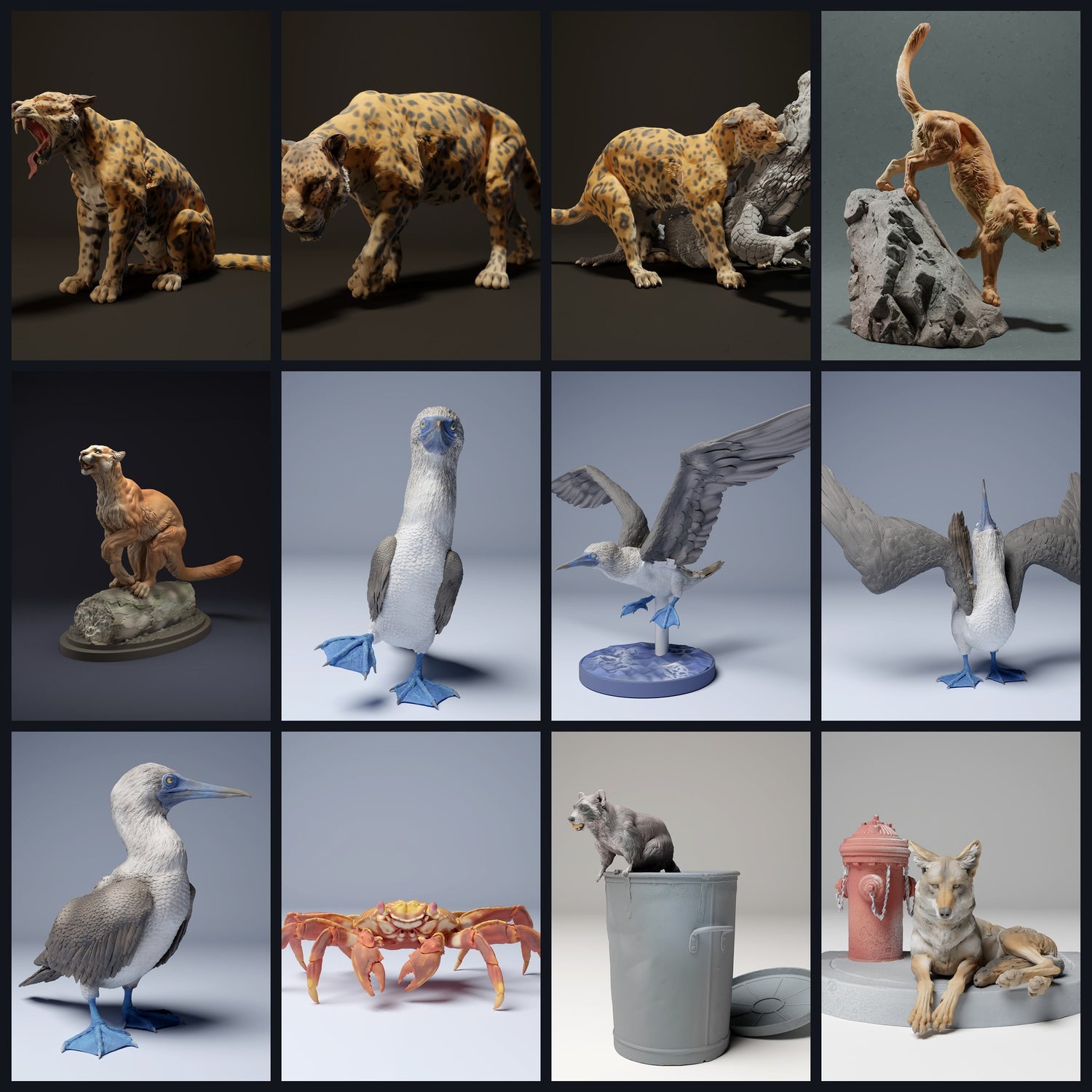 This image is the category image for region: Central America