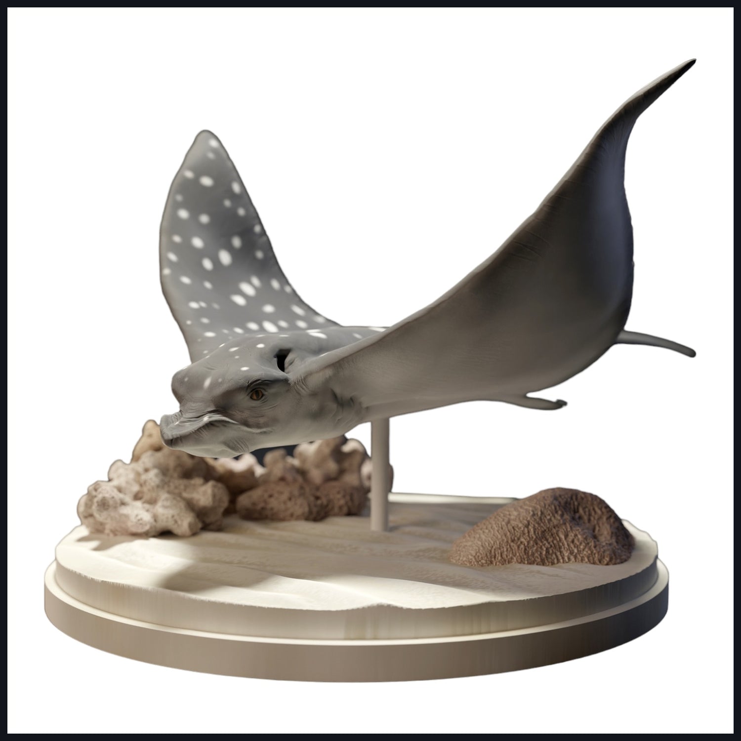 This image is the category image for habitat: coral reef