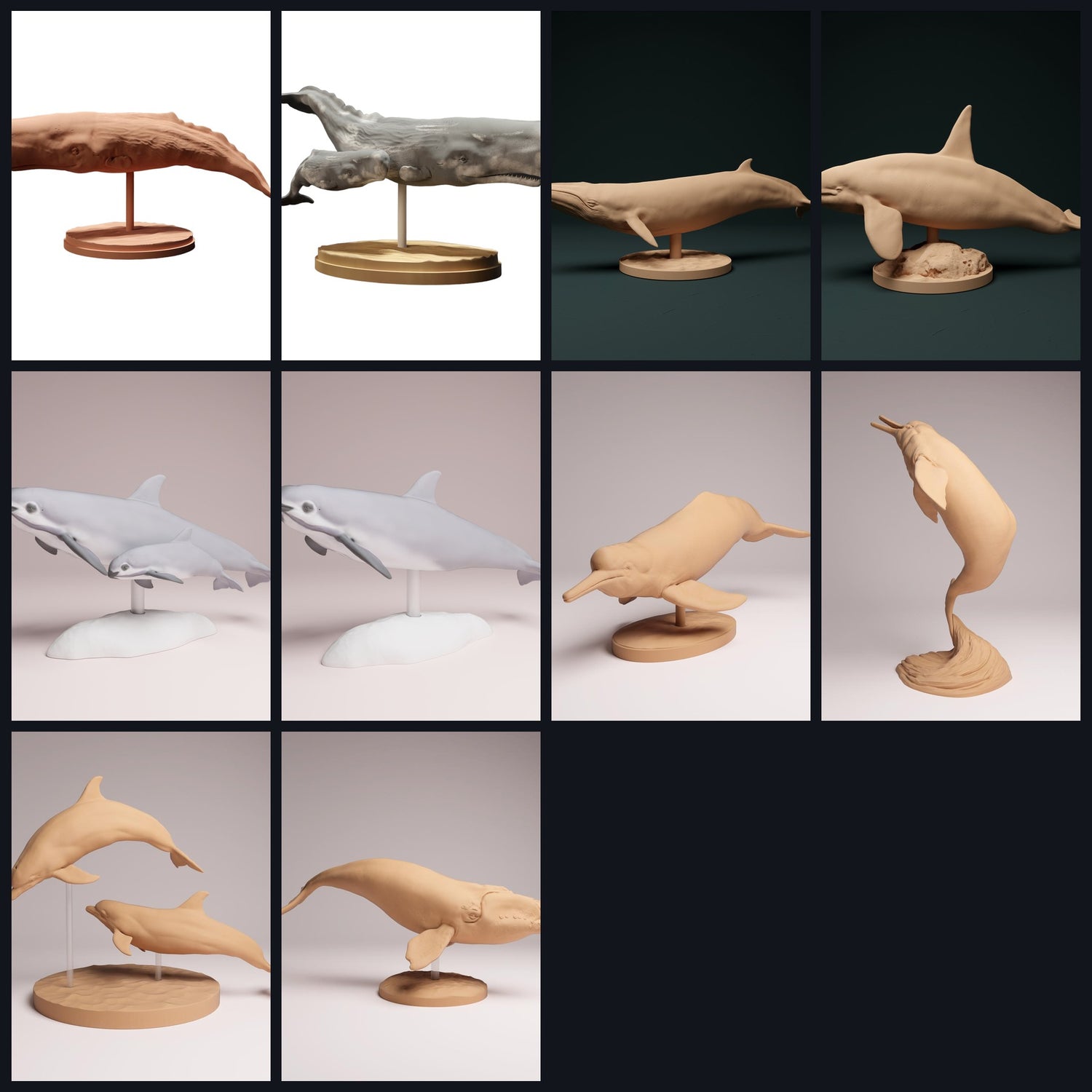 This image is the category image for animal type: Whales & Dolphins