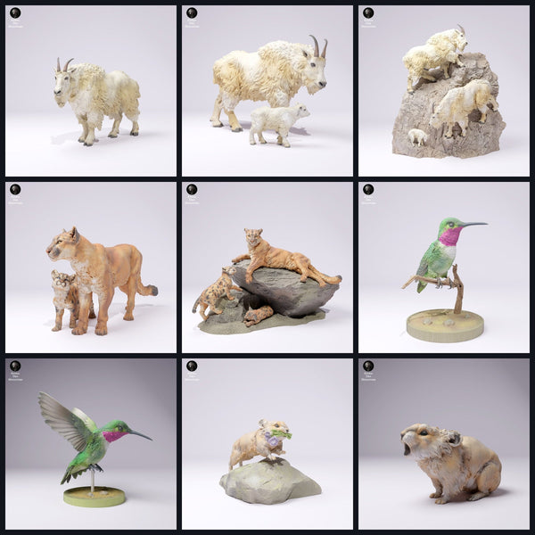 This image is the category image for the release 25_01: Gebirgs-animal miniatures and animal figures for diorama