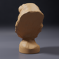 Product photo of animal figure Animal Den Miniatures 3: Sea animal figure: walrus bust (26_09_02)