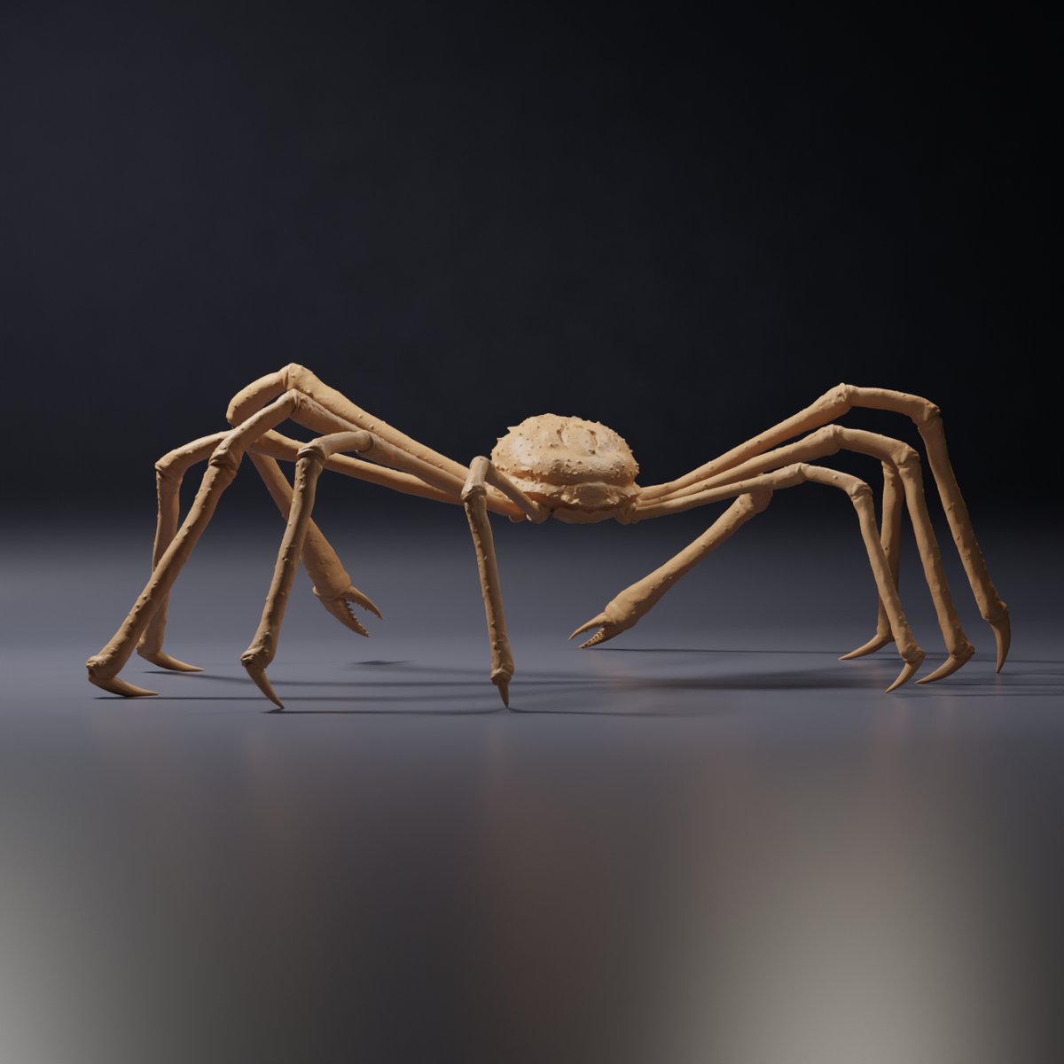 Product photo of animal figure Animal Den Miniatures 3: Marine animal figure: Japanese spider crab (26_09_04)