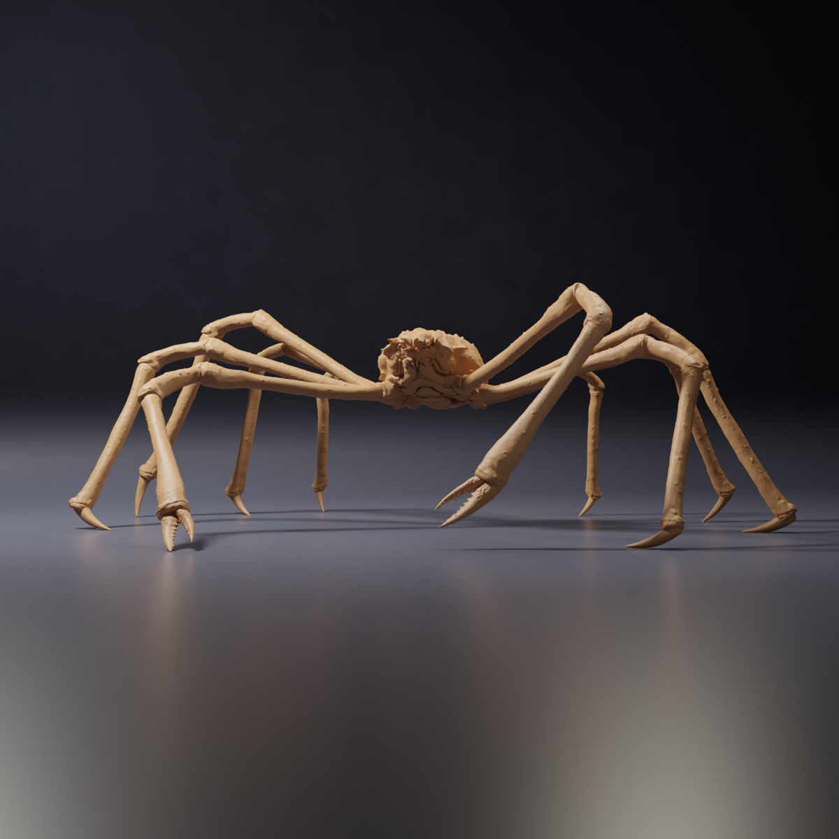 Product photo of animal figure Animal Den Miniatures 0: Sea creature figure: Japanese giant crab (26_09_04)