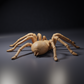 Product photo of animal figure Animal Den Miniatures 4: Arachnid figure: Goliath birdeater tarantula (26_10_01)