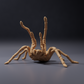 Product photo of animal figure Animal Den Miniatures 0: Arachnid figure: Goliath birdeater tarantula - threat pose (26_10_02)