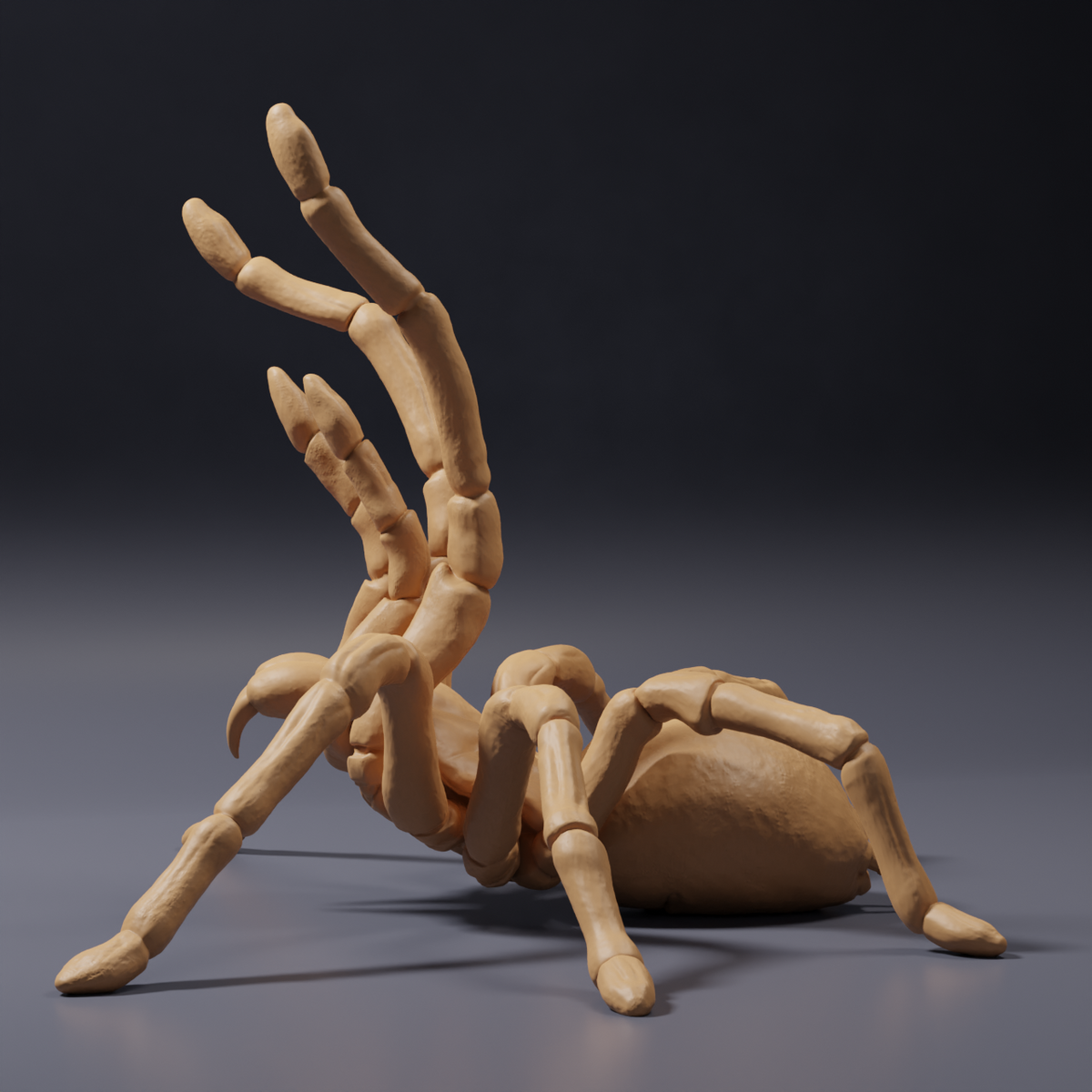Product photo of animal figure Animal Den Miniatures 3: Spider figure: Goliath birdeater tarantula - threat display (26_10_02)