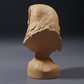 Product photo of animal figure Animal Den Miniatures 3: Wildlife figure: American barn owl - bust (26_10_06)