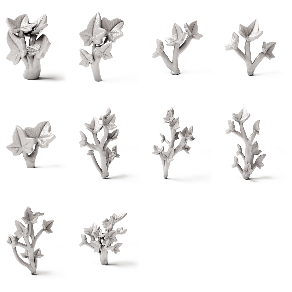 Set 04: 10 miniature plants on a white background (ivy)