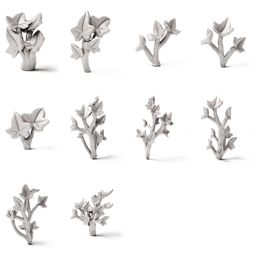Set 04: 10 miniature plants on a white background (ivy)