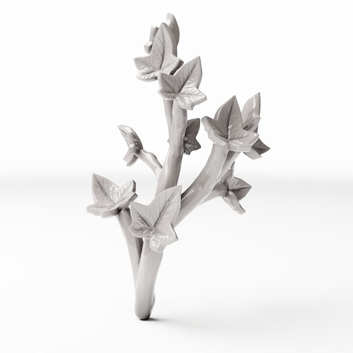 Set 04: miniature plant Ref. 533D, single view on a white background (ivy)