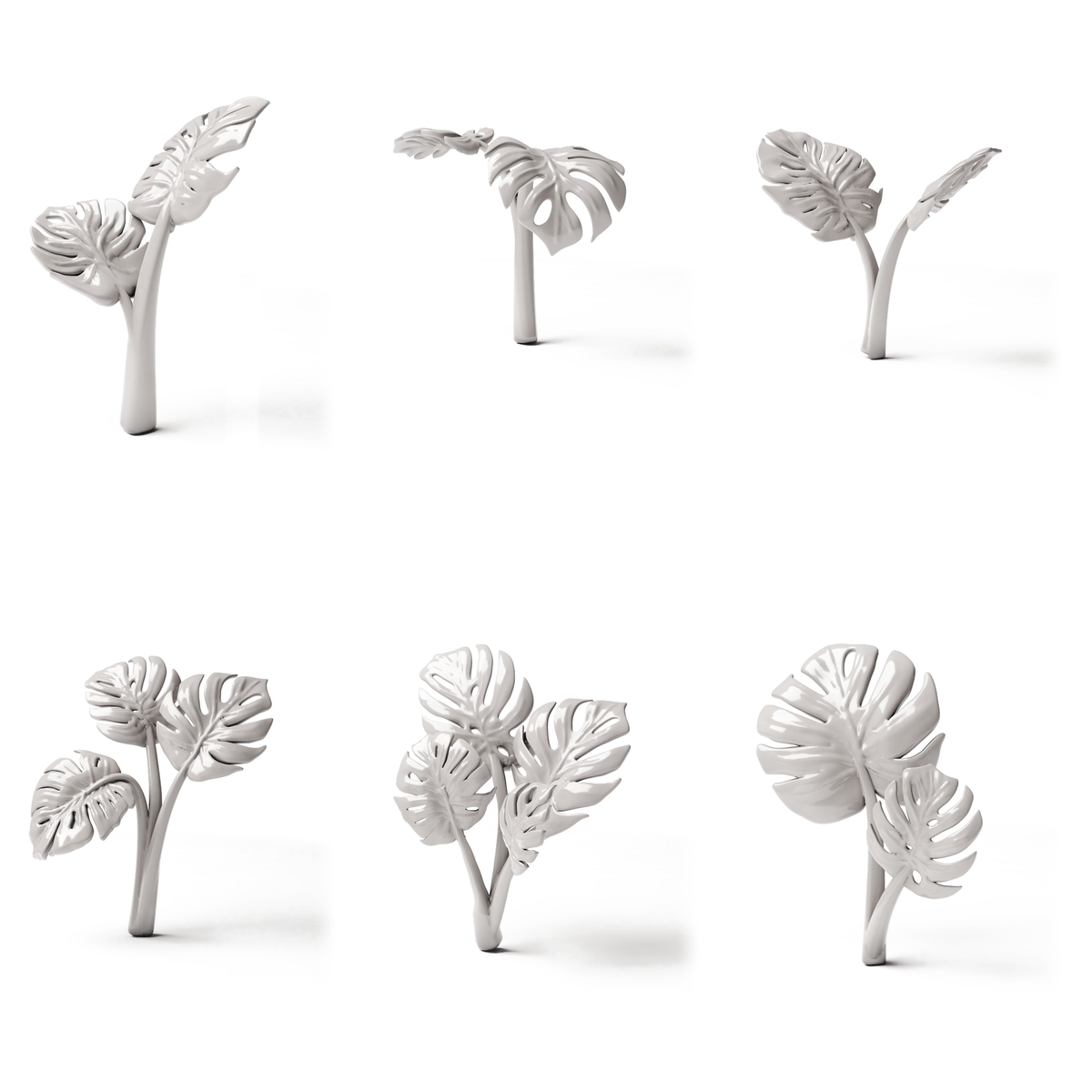 Set 05: 6 miniature plants on a white background (Monstera)