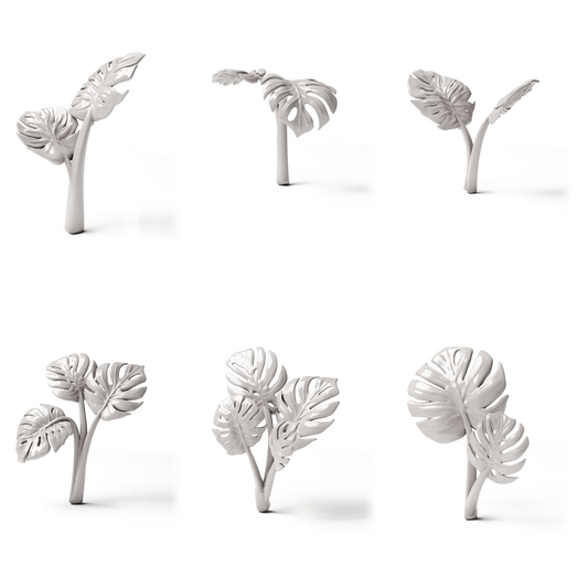 Set 05: 6 miniature plants on a white background (Monstera)