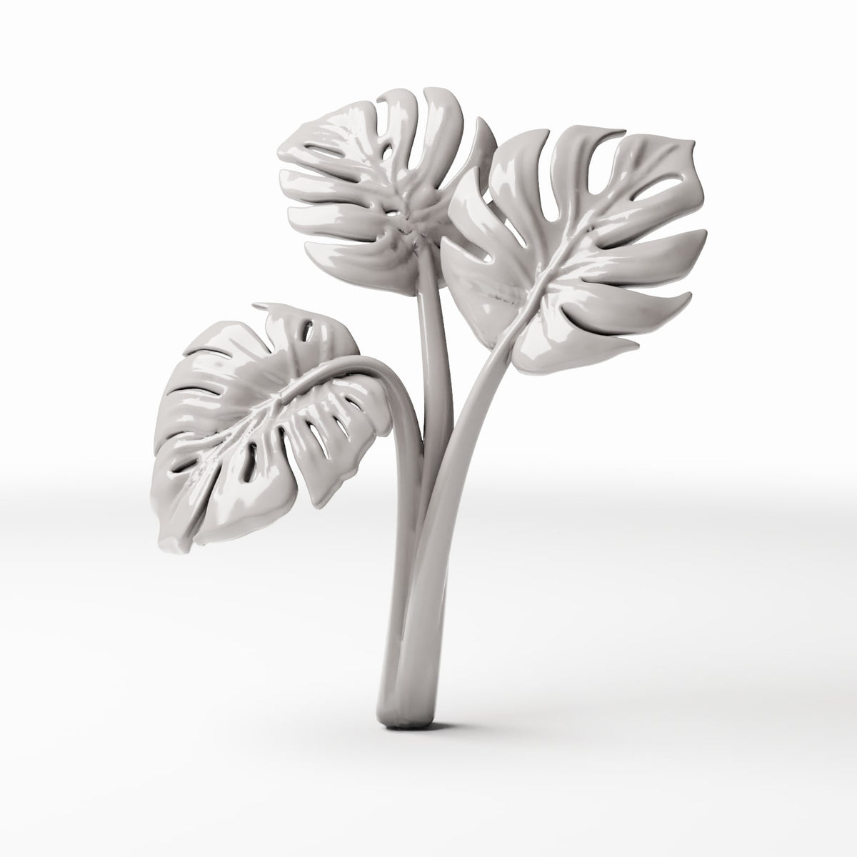 Set 05: miniature plant Ref. 481D, single view on a white background (Monstera)