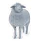 Diorama modelling product photo 7: farm animal diorama miniatures: donkey, sheep, ram and lamb (h0_55)