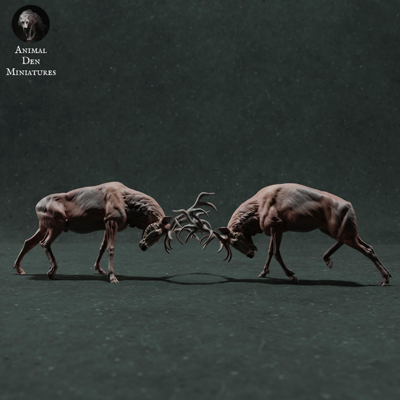 Product photo Animal Figure Diorama, Model Building: 0: Wildlife Figure: Fighting Red Deer – Stag Fight Diorama (Ref 01_01_71)