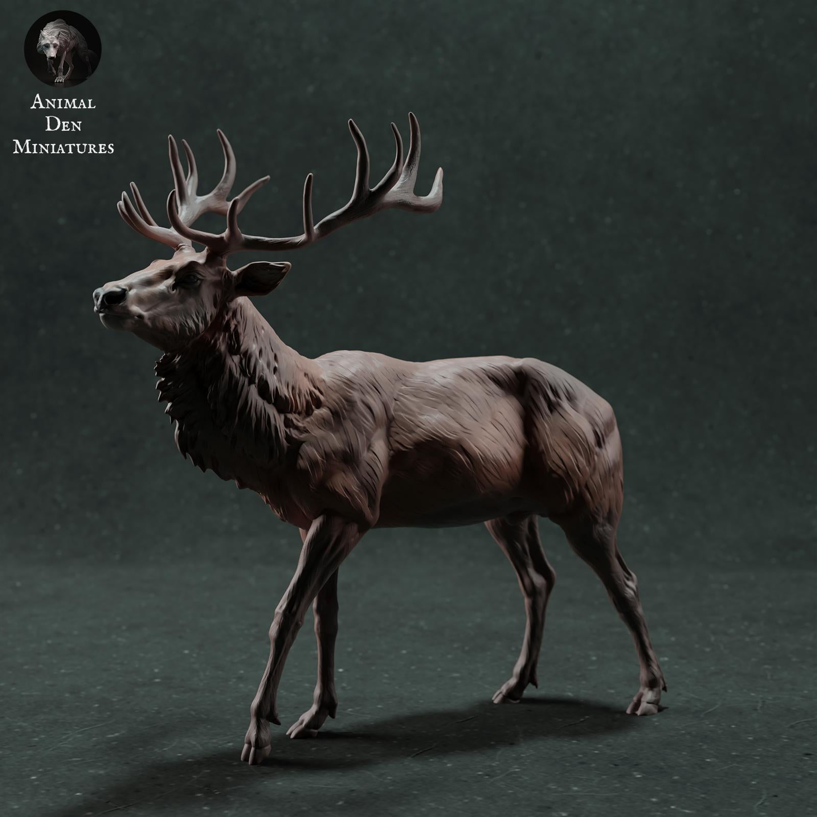 Product photo Animal Figure Diorama, Model Building: 0: Wildlife Figure: Red Deer – Stag (Ref 01_01_72)