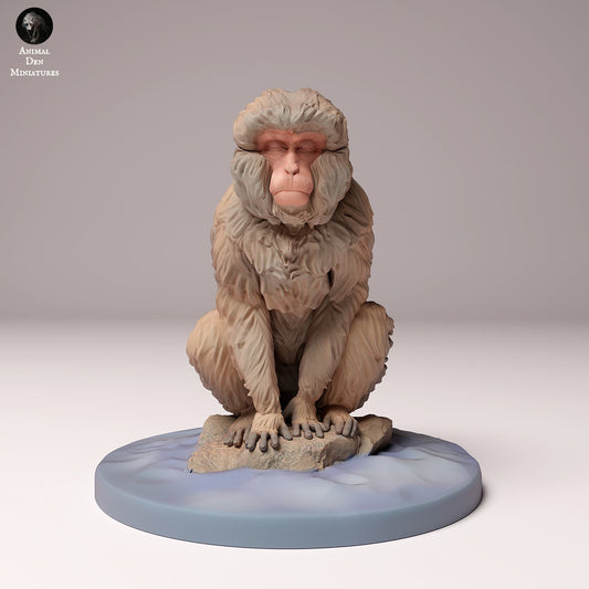 Produktfoto Tier Figur Diorama, Modellbau: 0: Wildtier Figur: sitzender Japanmakak (Ref 24_10_05)