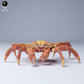 Produktfoto Tier Figur Diorama, Modellbau: 0: Meerestier Figur: Sally Lightfoot Krabbe (Ref 24_08_11)
