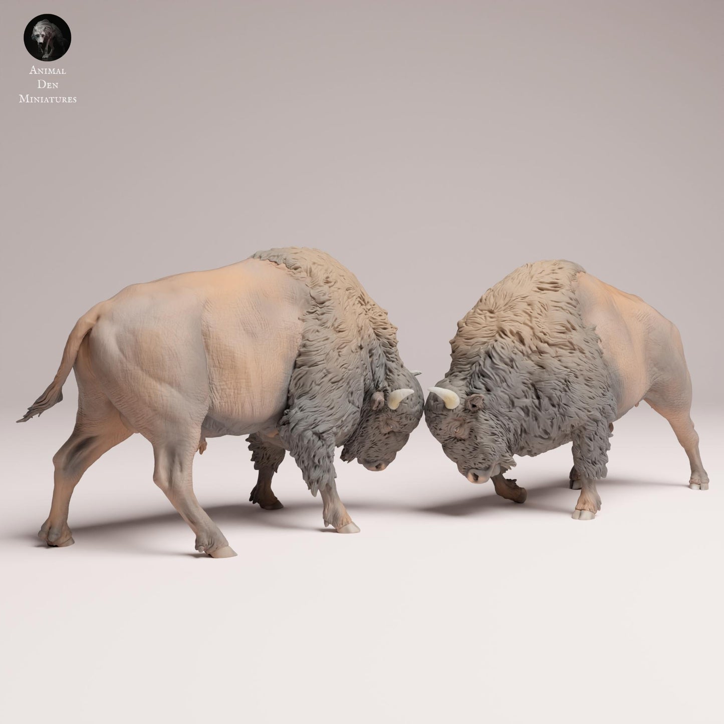 Product photo Animal Figure Diorama, Model Building: 0: Wildlife Figure: Fighting American Bison (Ref 25_09_09)