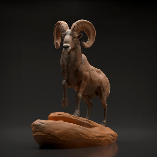 Product photo Animal Figure Diorama, Model Building: 0: Wildlife Figure: Bighorn Sheep Ram (Ref 01_01_89)