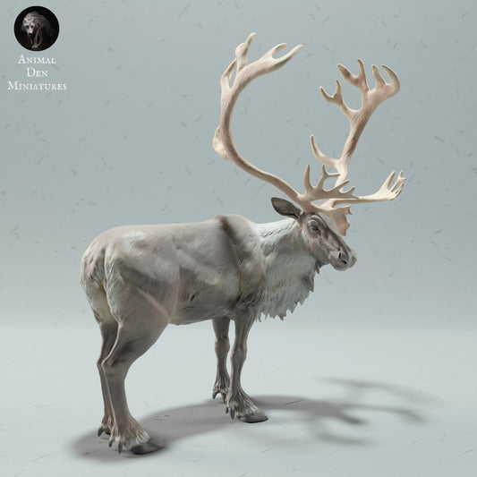 Product photo Animal Figure Diorama, Model Building: 0: Wild Animal Figure: Reindeer – Bull Caribou (Ref 01_01_68)
