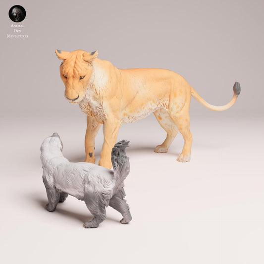 Product photo Animal Figure Diorama, Model Building: 0: Wild Animal Figures: Lioness in Battle with Honey Badger (Ref 25_08_01)