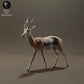 Product photo Animal Figure Diorama, Model Building: 0: Savanna Animals Figure: Thomson's Gazelle (Ref 01_01_57)