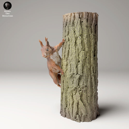 Produktfoto Tier Figur Diorama, Modellbau: 0: Wildtier Figur: Eichhörnchen auf Baum – Rotes Eichhörnchen (Ref 24_09_01)