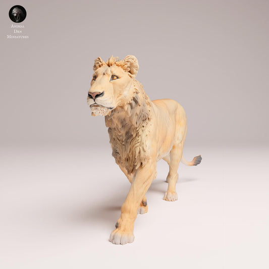 Product photo Animal Figure Diorama, Model Building: 0: Savanna Animal Figure: Young Lion – Subadult (Ref 25_08_04)