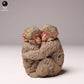 Produktfoto Tier Figur Diorama, Modellbau: 0: Wildtier Figur: Japanische Makakenbabys – Umarmung (Ref 24_10_06)