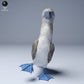 Produktfoto Tier Figur Diorama, Modellbau: 0: Meerestier Figur: Blaufußtölpel – Blue Footed Booby (Ref 24_08_06)